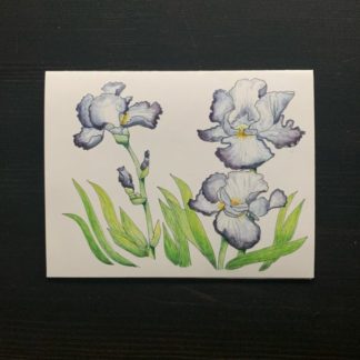 Purple Iris Card
