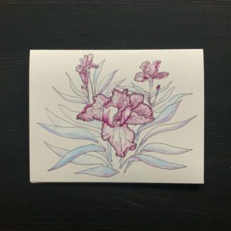 Pink Iris Card